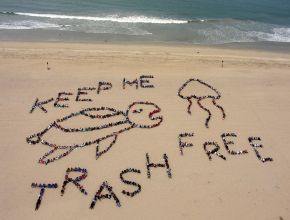 Beach Cleanup MVO teambuilding