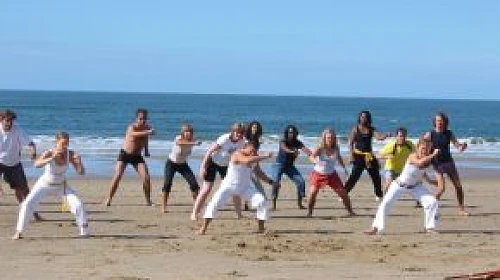 Tai Chi workshop