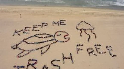 Beach Cleanup MVO teambuilding